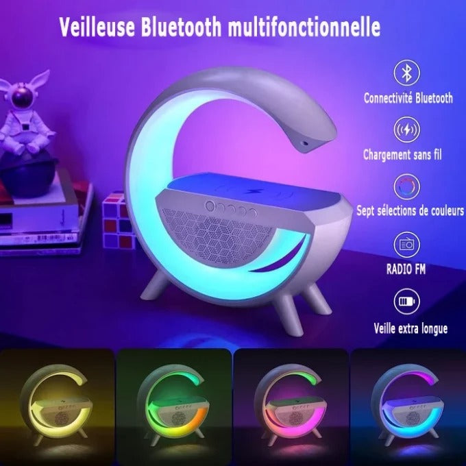 Enceinte Bluetooth Multifonctionnelle (Promotion -40%)