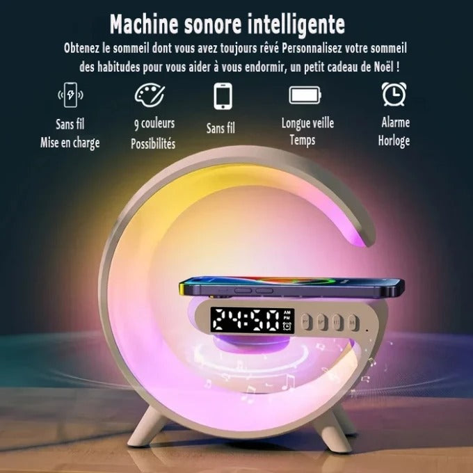 Enceinte Bluetooth Multifonctionnelle (Promotion -40%)