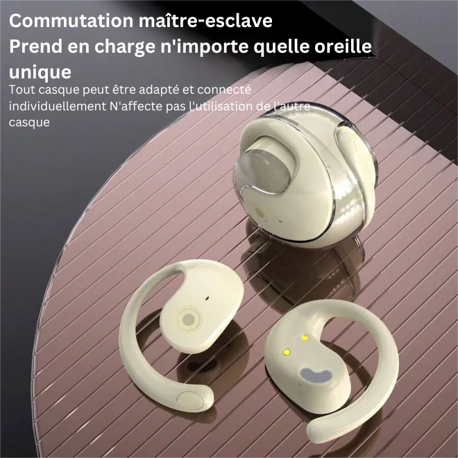Écouteurs sans fil Bluetooth TWS